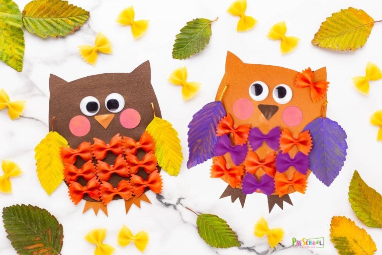 Preschool Pasta Owl Craft