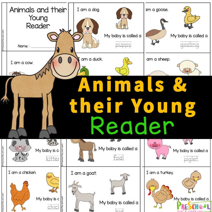Animals and their Young Printable Reader for Kids