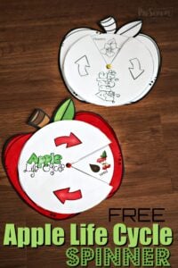 FREE Apple Life Cycle Spinner
