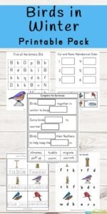 bird worksheets