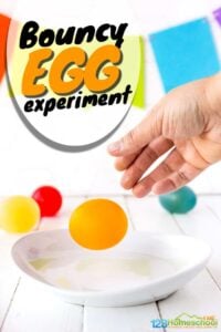 bouncy egg experiment