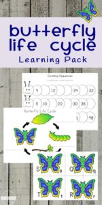 butterfly life cycle worksheets