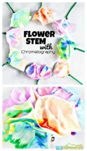 chromatography flowers