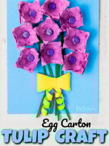 Make a beautiful spring tulip craft while recycling an old egg cartoon in this fun flower craft for kids. This tulip craft for kids is fun for all ages from preschool, pre-k, kindergarten, first grade, 2nd grade, 3rd grade, and up. This is such a fun tulip craft idea to make a pretty bouquet of tulips for a mother’s day craft or simply a flower craft for a spring craft for kids or flower theme.