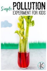 Earth Day Science celery experiment to demonstrate water pollution