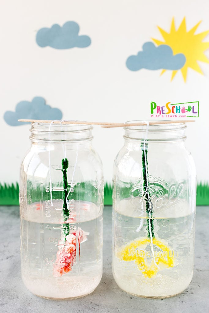 Flower Activities for Preschoolers