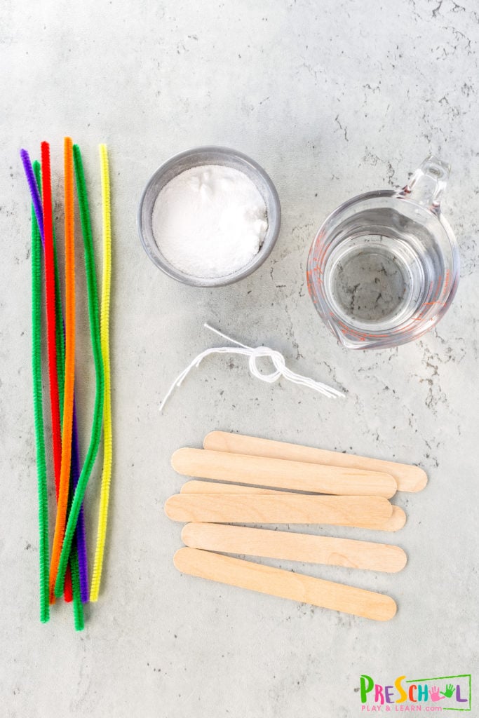flower pipe cleaner craft