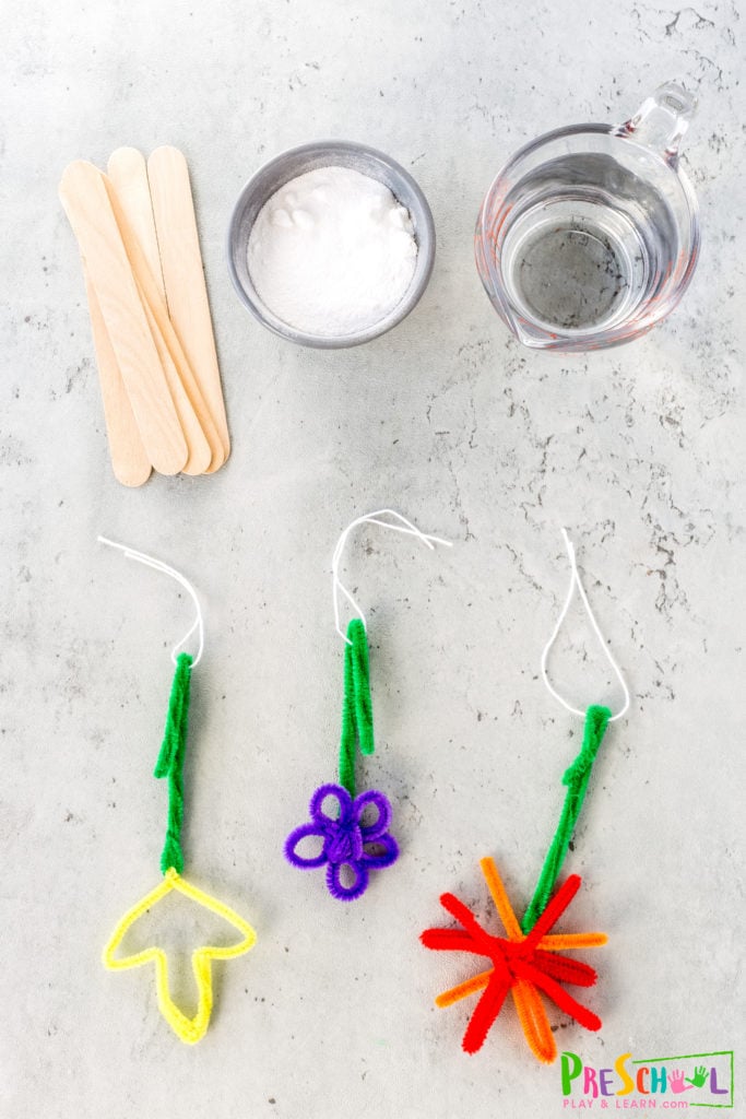 Flower Science Activities for Preschoolers