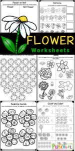Make learning fun this spring and summer with these super cute flower worksheets. These flower worksheets for preschoolers include a variety of math and literacy skills with a fun flower theme for toddler, preschool, pre-k, and kindergarten age students. Simply download pdf file with preschool spring worksheets and you are ready to play and learn with a Flower Activities for Preschool. 