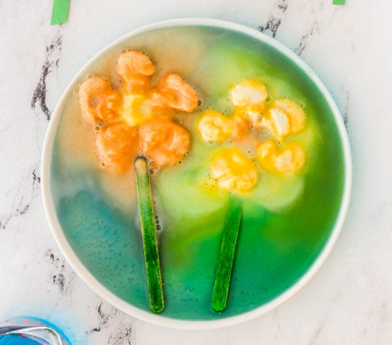 Flower Science Activity for Preschoolers