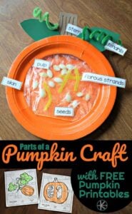 parts-of-a-pumpkin-craft-and-free-pumpkin-printables-595xh