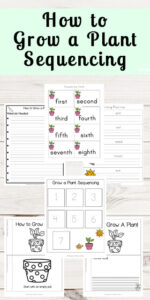 planting a seed sequencing worksheet