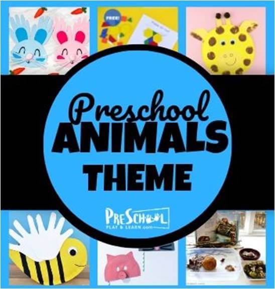 Preschool Animal Theme