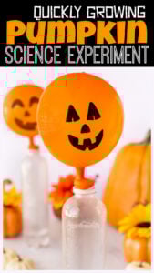 balloon Pumpkin Science Experiment