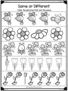 same and different concept for preschool