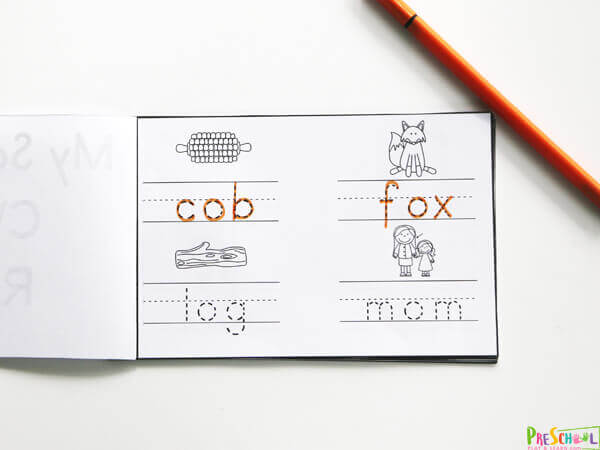 Scarecrow-CVC-o-reader-2