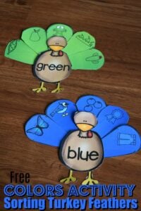 FREE Sorting Turkey Feathers Colors Activity - Have fun learning colors with this fun, hands-on colors activity where toddler, preschool, and kinderagrten age kids will sort Turkey Feathers! #colors #turkey #preschool