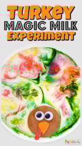 FUN turkey activity for fall that combines a turkey science experiment with november activities! Clever thanksgiving magic milk project!