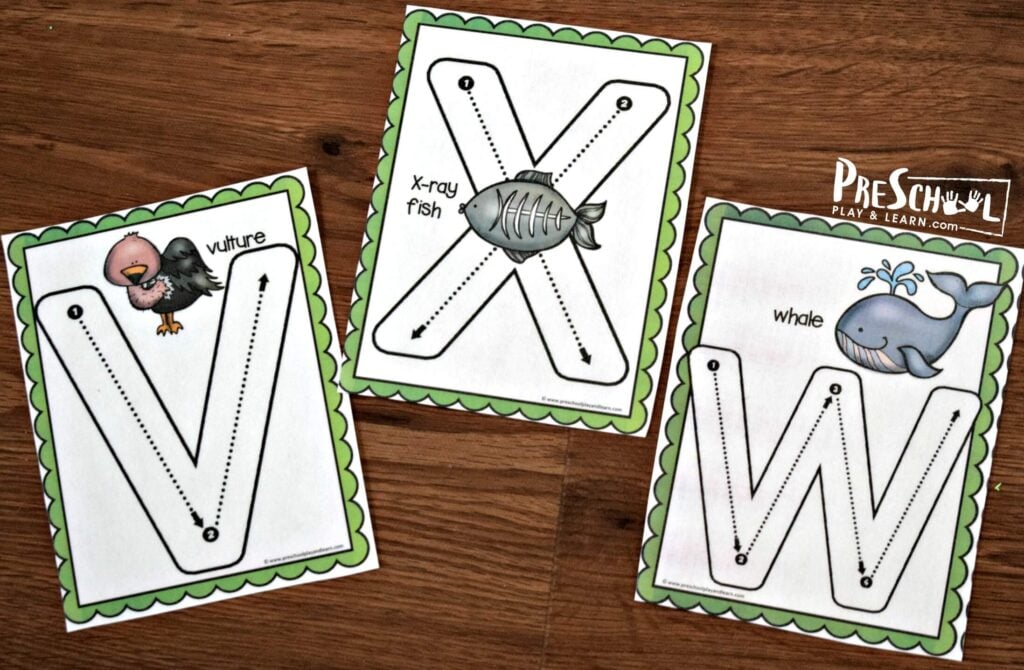 Tracing Letters cards like these V is for vulture, X is for xray fish, and w hale alphabet flashcards