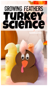 exploding Turkey Science